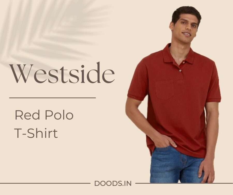 10 Best Polo T-Shirt Brands in India for Men - Doods